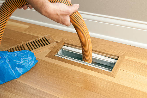 Best Affordable Duct Cleaning Services  in Oreana, IL