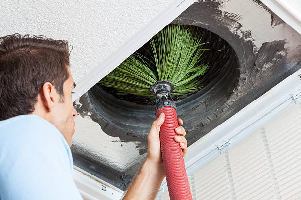 Best Local Air Duct Cleaning Services  in Oreana, IL